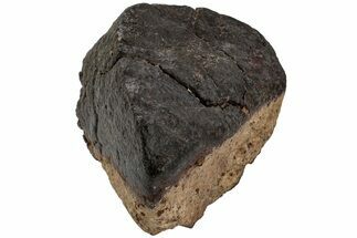 Chondrite Meteorite ( grams) - Western Sahara Desert #222640