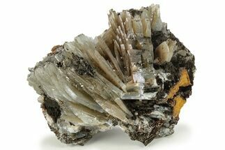 Bladed Barite Cluster On Limonite - Morocco #222906