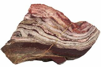 Polished Snakeskin Jasper Slab - Western Australia #221509