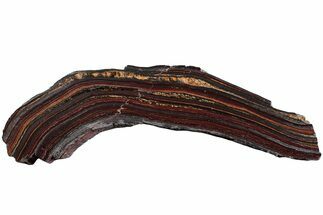 Polished Tiger Iron Stromatolite Slab - Billion Years #222085