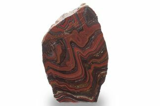 Free-Standing Polished Tiger Iron Stromatolite - Ga #222940