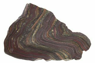 Polished Tiger Iron Stromatolite Slab - Billion Years #222944