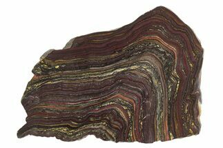 Polished Tiger Iron Stromatolite Slab - Billion Years #222950