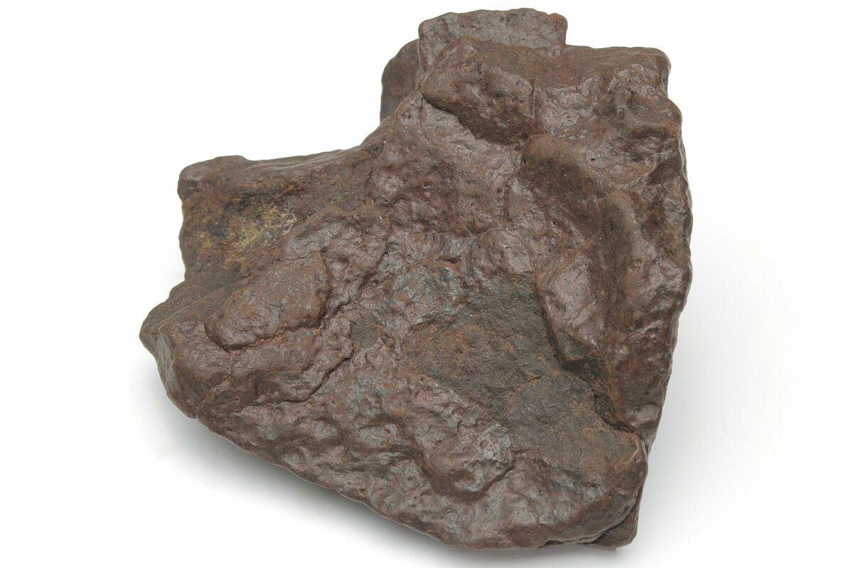 2" Chondrite Meteorite (54 grams) Western Sahara Desert (223075) For