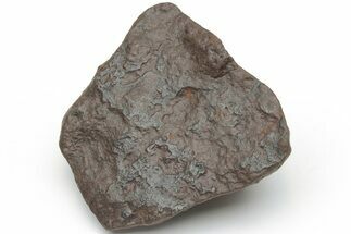 Chondrite Meteorite ( grams) - Western Sahara Desert #223078