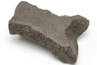 Chondrite Meteorite ( grams) - Western Sahara Desert #223103