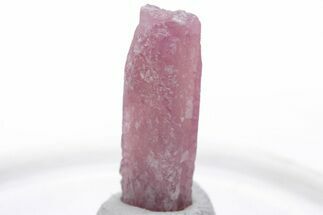 Pink Tourmaline (Rubellite) Crystal - Brazil #221622