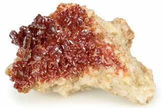Ruby Red Vanadinite Crystals on Barite - Morocco #223667