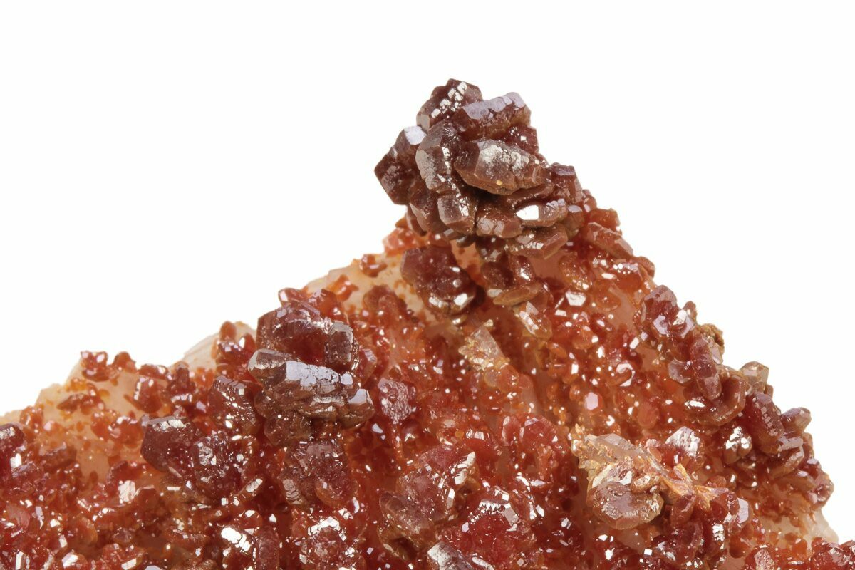2.35" Dark Red Vanadinite Crystals on Barite Morocco (223680) For