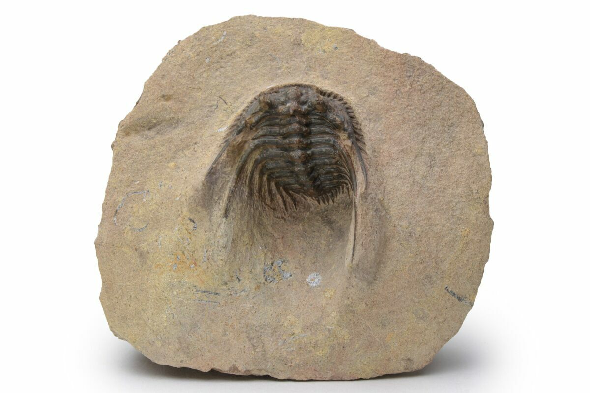 1.25