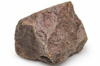 Chondrite Meteorite ( grams) - Western Sahara Desert #226938