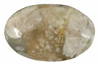 Polished Flower Agate Palm Stone - Madagascar #226837