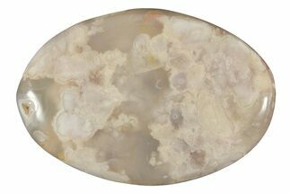 Polished Flower Agate Palm Stone - Madagascar #226860