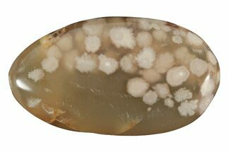 Polished Flower Agate Palm Stone - Madagascar #226864