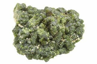 Lustrous Epidote Crystal Cluster - Morocco #224821