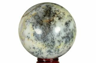 Polished Dendritic Agate Sphere - Madagascar #218901