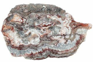 Polished Crazy Lace Agate Slab - Mexico #227614