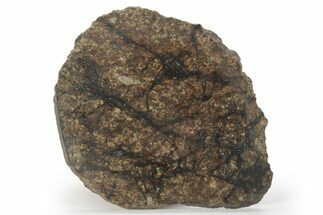 Chondrite Meteorite ( grams) Slice with Shock Veins - Morocco #227975