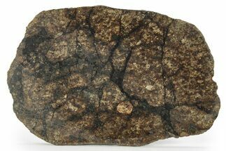 Chondrite Meteorite ( grams) Slice with Shock Veins - Morocco #227979