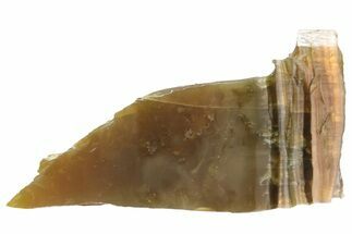 Chatoyant, Polished Pietersite Slab - Arizona #227846