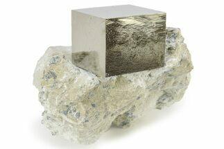 Pristine, Natural Pyrite Cube In Rock - Navajun, Spain #227642