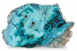 Colorful Chrysocolla and Shattuckite Slab - Mexico #227905