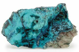 Colorful Chrysocolla and Shattuckite Slab - Mexico #227904