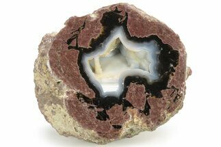 Polished, Black Rock Desert Thunderegg (Half) - Nevada #229084