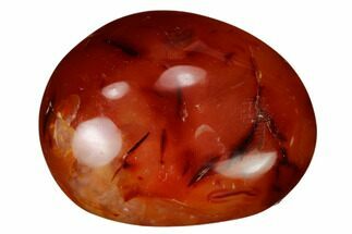 Vibrant, Polished Carnelian Agate Stones - / Size #229508