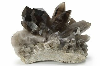 Wide, Natural Smoky Quartz Cluster - Brazil #229537