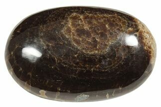 Polished Chocolate Calcite Palm Stone - Pakistan #220959
