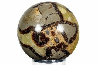 Polished Septarian Sphere - Madagascar #230384