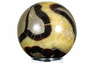 Polished Septarian Sphere - Madagascar #230387