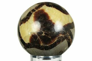 Polished Septarian Sphere - Madagascar #230393