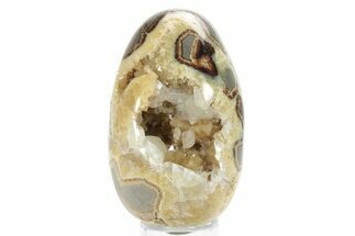 Calcite Crystal Filled Septarian Geode Egg - Utah #231072