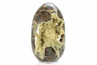 Calcite Crystal Filled Septarian Geode Egg - Utah #231074