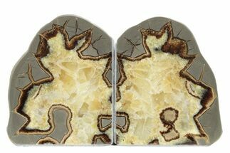Crystal Filled Septarian Geode Bookends - Utah #231079