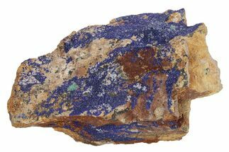 Azurite and Malachite Association on Matrix - Morocco #217804