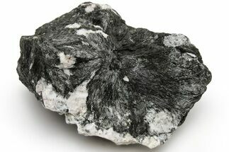 Radiating Black Aegirine Crystals with Feldspar - Russia #211956