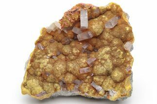 Vibrant Orpiment with Tabular Barite Crystals - Peru #231539