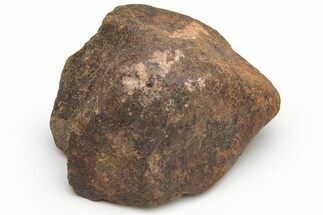 Chondrite Meteorite ( grams) - Western Sahara Desert #232078