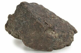 Chondrite Meteorite ( grams) - Western Sahara Desert #232931