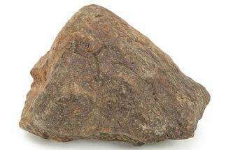 Chondrite Meteorite ( grams) - Western Sahara Desert #232952
