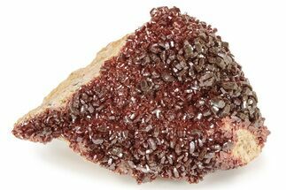 Glittering, Ruby Red Vanadinite Crystals on Barite - Morocco #233945