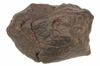 Chondrite Meteorite ( grams) - Western Sahara Desert #233172