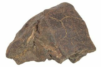 Chondrite Meteorite ( grams) - Western Sahara Desert #233179