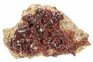 Glittering, Ruby Red Vanadinite Crystals on Barite - Morocco #233954