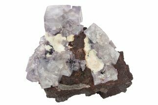 Purple Cubic Fluorite on Hematite Pseudomorph - Colorado #234647
