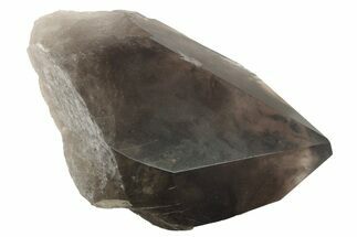 Natural, Dark Smoky Quartz Crystal - Colorado #234660