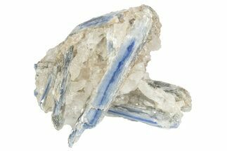 Vibrant Blue Kyanite Crystals In Quartz - Brazil #235359